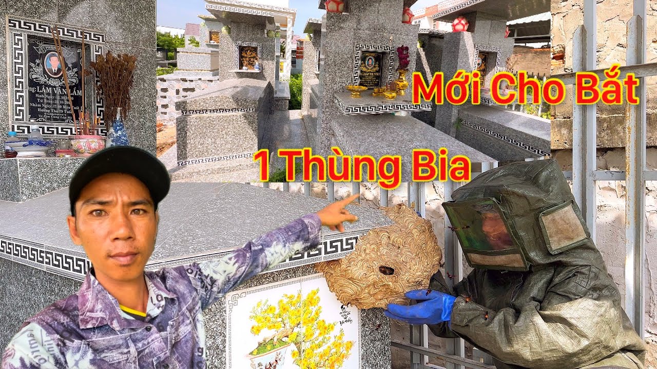 ĐỘT NHẬP VÀO KHU NGHĨA TRANG BẮT TỔ ONG TRÊN NGÔI MỘ GẶP ANH TRAI DẨN ĐI ĐÒI THÙNG BIA