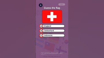 Guess the flag quiz No.27 #flag  #quizzes