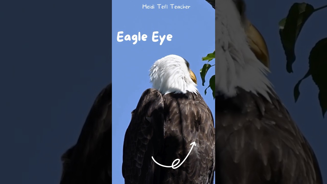 Eagle Eye -  English Idiom Explained for ESL Learners 