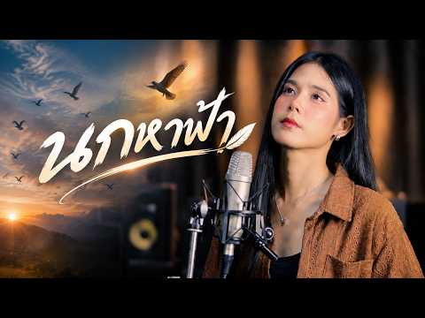 Cover: Bird and Sky mp4