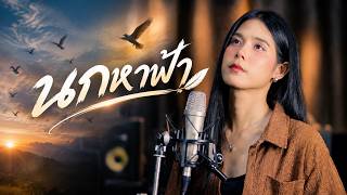 Cover: Bird and Sky mp4