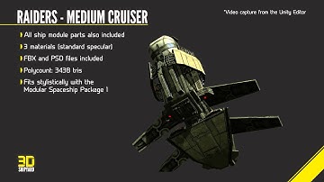 Raiders - Medium Cruiser Spaceship Overview