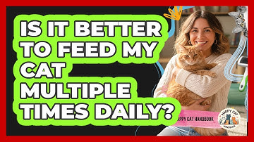 Is It Better To Feed My Cat Multiple Times Daily?
