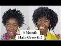 How I Grew My 4B/4C Hair in 6 Months! | Big Chop Update