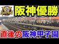 【速報🎉】阪神タイガース優勝の瞬間の甲子園とその直後の阪神線甲子園駅の列車大増発が凄すぎた！！！！