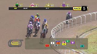 Vidéo de la course PMU PRIX OPEN MAIDEN