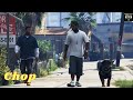 Chop the Best dog :GTA V