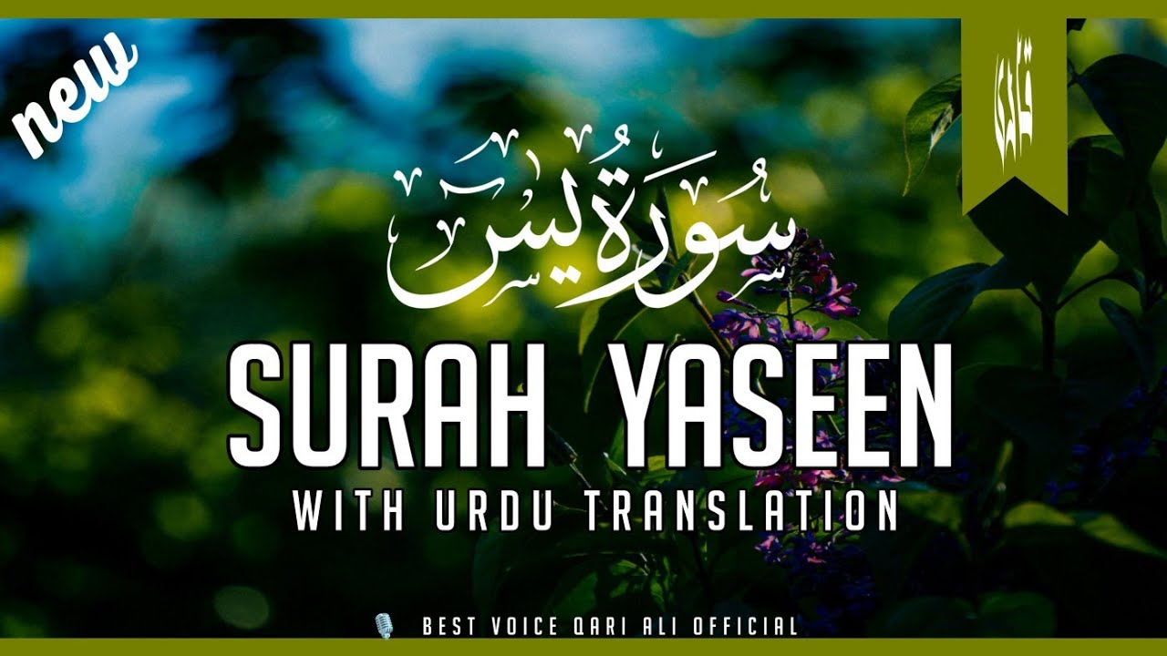 Surah Yasin (Yaseen) Full With Arabic And Urdu Text HD | 36 سورۃ یس By Qari Ali official 