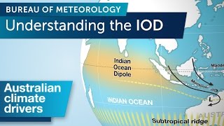 Understanding the Indian Ocean Dipole