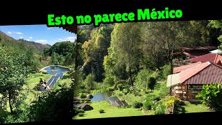 Las mejores truchas de México en un paisaje desconocido