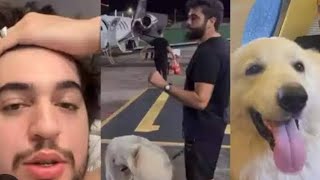 Natan foi dormir e o Henrique e Juliano levou os cachorros dele embora #news #noticias #natanzinho