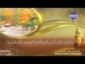 Shaykh maahir al muaqaly  surah faatir full