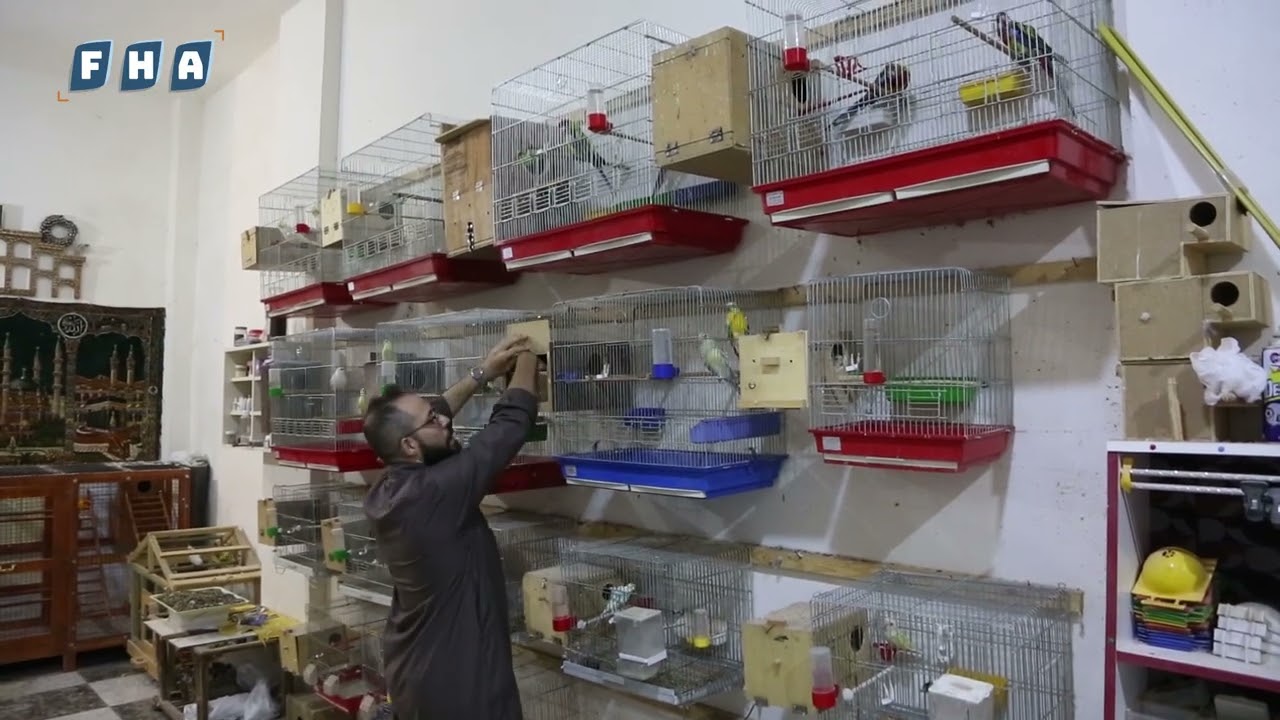 يعمل الشاب أبو زيدو في مهنة تربية الطيور في ريف إدلب إذ يبلغ عدد أصنافها نحو 100 صنف