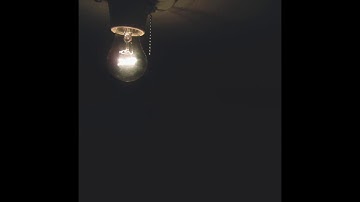 Walls - The Future Is Wide Open