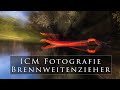 ICM FOTOGRAFIE | Blödsinn oder eine kreative Möglichkeit?