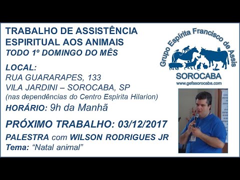 Assista: Palestra presencial - c/ WILSON RODRIGUES JR. (03/12/2017)