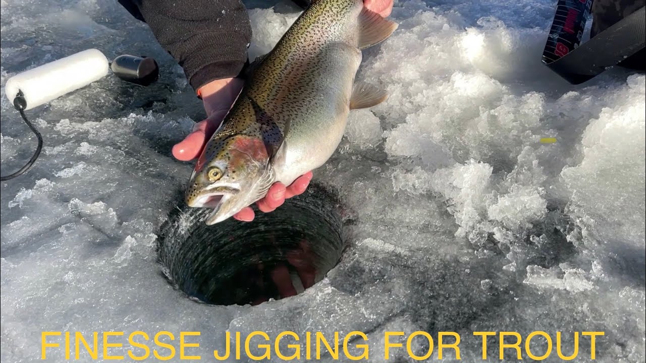 How To Ice Fish Trout During a Tough Bite 11 Mile Reservoir 