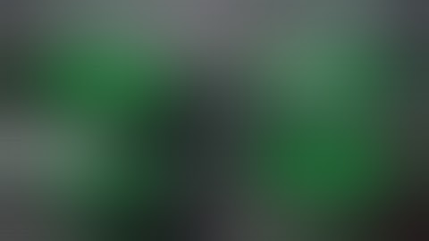 The NL2 Mastery Course - Full Ring Section Preview