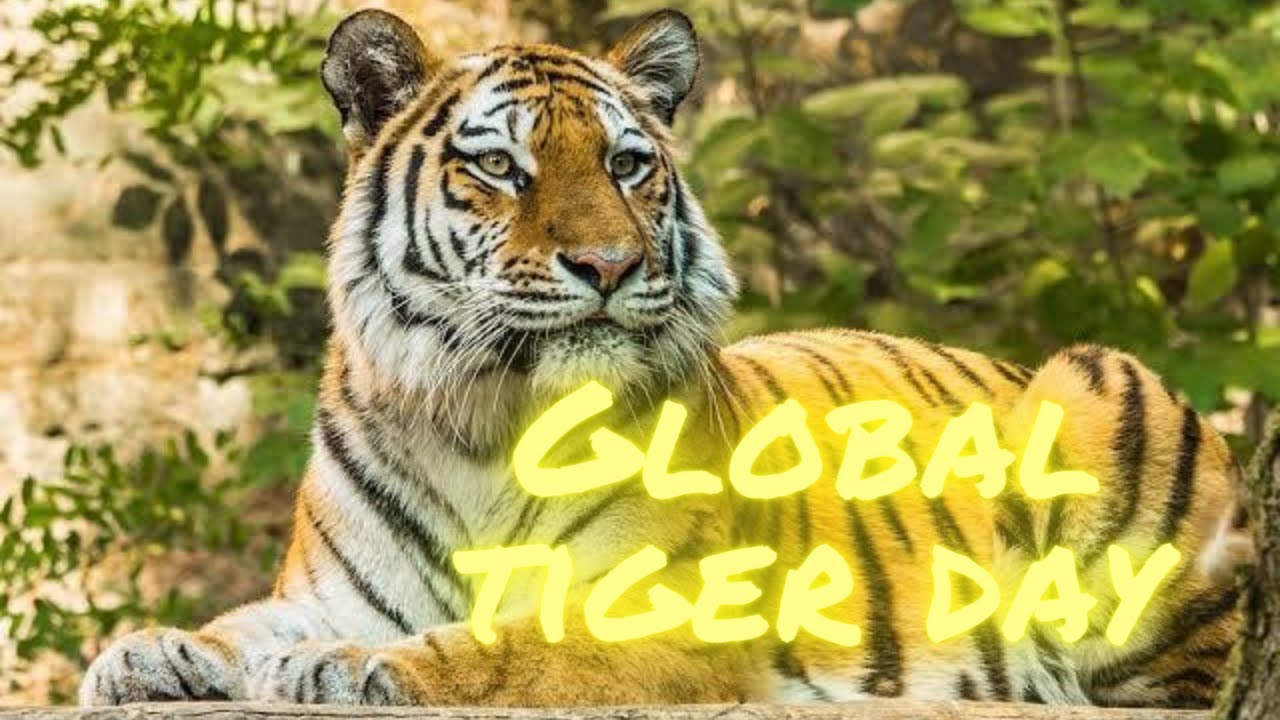 017: Global Tiger Conservation. 