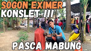 Sogon Eximer Pasca Mabung, Sempet Trouble, Untulan Lepas Dan Akhirnya Kembali Moncer Di Tiang besi✈️