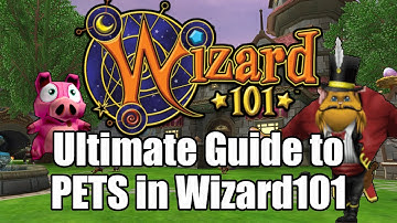 The Complete Guide To Pets in Wizard101