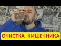 Голодание на воде для новичков. #2 Очистка кишечника соленой водой. Шанк пракшалана. Пиродная клизма