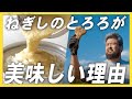 【ねぎしのとろろ実は…】こだわりが詰まった一級品の千葉県多古町産大和芋！他には負けない濃厚さの秘密に迫る