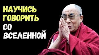 видео: Узнай Как Говорить со Вселенной ЧТОБЫ ЖЕЛАНИЯ ИСПОЛНЯЛИСЬ картинка: Узнай Как Говорить со Вселенной ЧТОБЫ ЖЕЛАНИЯ ИСПОЛНЯЛИСЬ
