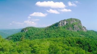 Human remains found in Pisgah National Forest, deputies say