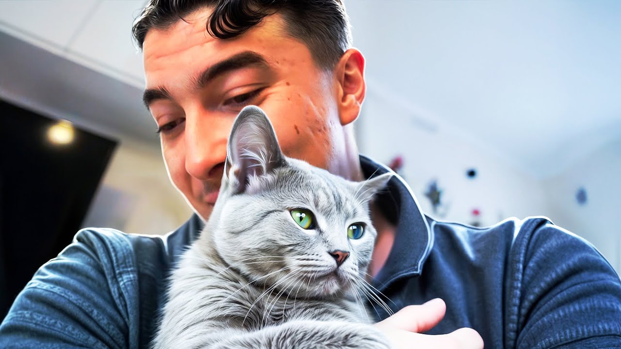 J'AI ADOPTÉ UN CHATON ! (il est tout petit 🥲)