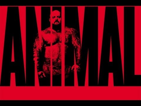 brandon lilly animal youtube