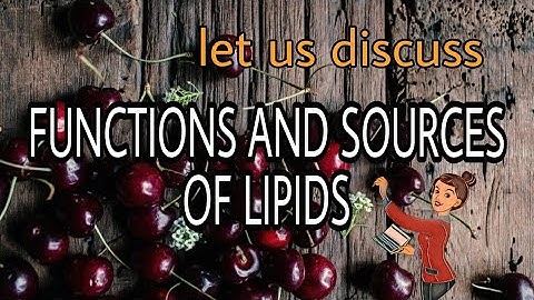 Functions and sources of lipids| Food science🍒🔬