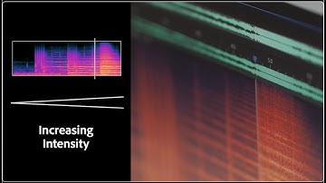 Project Music GenAI Control | Adobe Research
