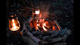 森の中で静かに焚き火で過ごすキャンプ Episode1 Camping in the woods