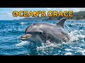 “The Secret World of Dolphins 🐬 | Ocean’s Smartest Hunters”#dolfin #viralvideo #woldlife#oceanworld