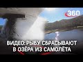 Рыбу сбрасывают в озёра прямо из самолёта - все ради рыбаков-туристов