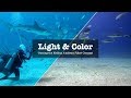 HOW TO GET THE COLOR RIGHT WHEN FILMING UNDER WATER?