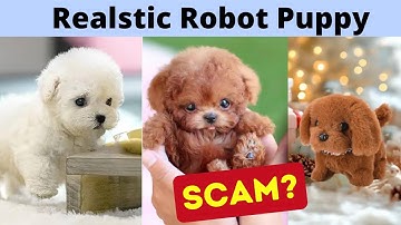 Mijn realistische robotpuppy review | AI-robothond oplichting | Nicco Robot