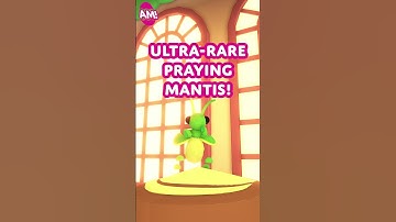 This insect has some MOVES! Find the Praying Mantis in the Garden Egg this Friday!! 🙏🦗