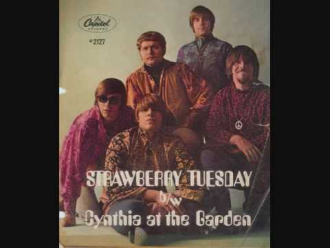 Sidewalk Skipper Band - Strawberry Tuesday