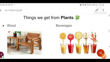 CH 14 (PLANTS AROUND US) {Part 2}