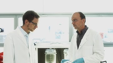 CTF corporatevideo FullHD h265 5mbit