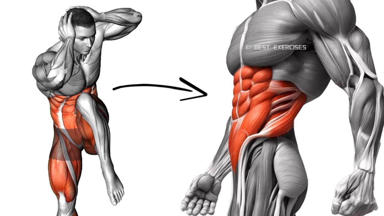 Тренировка стоя на пресс, чтобы сбросить жир на животе за 1 неделю дома