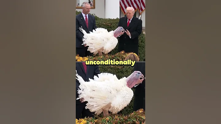 Trump pardons two turkeys before Thanksgiving