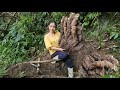 Mai dug up a giant wild potato, cooked, and did housework.