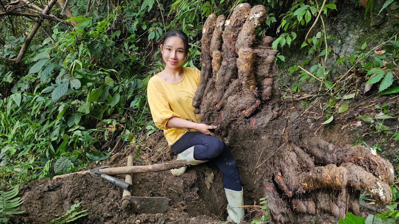 Mai dug up a giant wild potato, cooked, and did housework.
