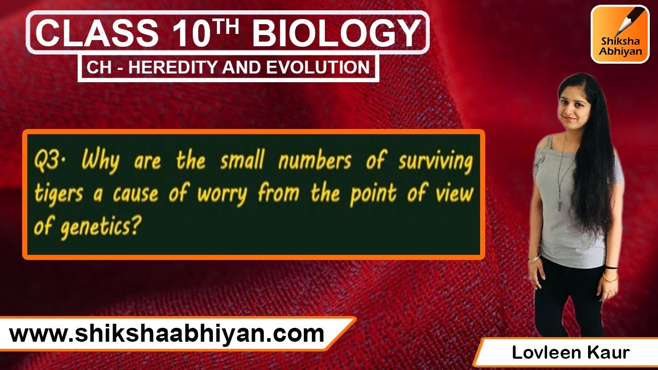 Q3 Why are the small numbers of tigers a cause of worry from genetics point of view?