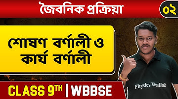 জৈবনিক প্রক্রিয়া ০২। Plant Physiology | Photosynthesis Part 2 | Absorbance & Action Spectra । WBBSE