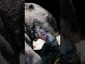 Endangered Species Day!
