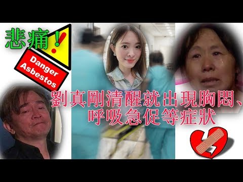 悲痛！劉真剛清醒就出現胸悶、呼吸急促等症狀，台大醫院加強會診 為了女兒必須努力活下去，劉真媽媽心酸：世間一大悲哀，白髮送黑髮